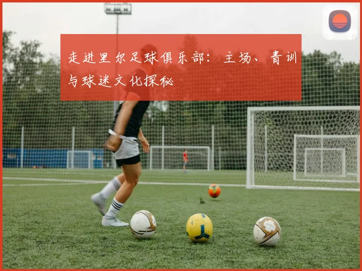 走进里尔足球俱乐部:主场、青训与球迷文化探秘