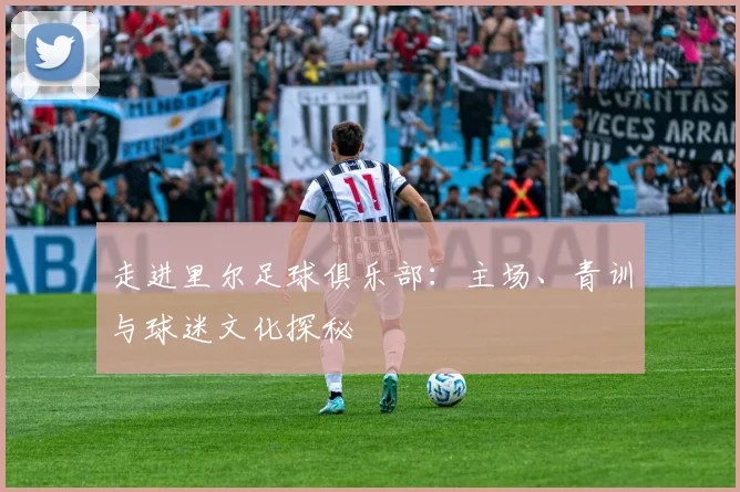走进里尔足球俱乐部：主场、青训与球迷文化探秘