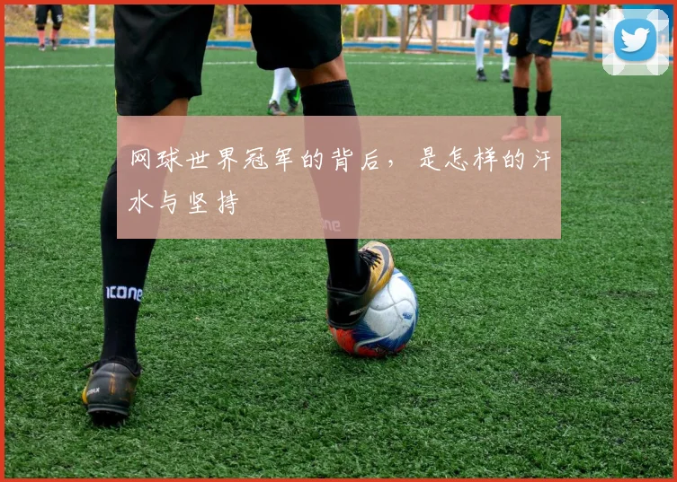 网球世界冠军的背后，是怎样的汗水与坚持
